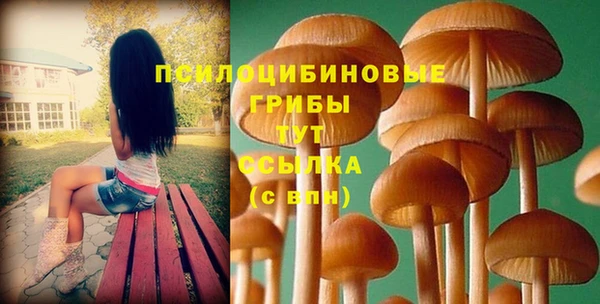 СК Армянск