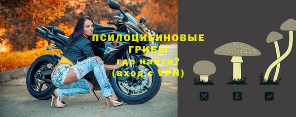 СК Армянск
