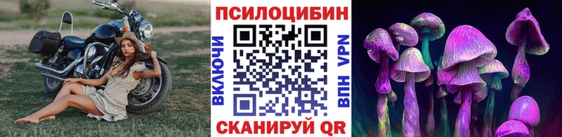 Псилоцибиновые грибы мицелий  Старый Крым 